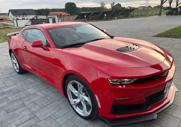 Chevrolet Camaro cena 157000 przebieg: 6100, rok produkcji 2021 z Turek małe 596